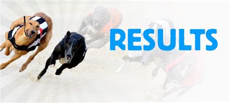 today's greyhound cards racing post|Racing Results .